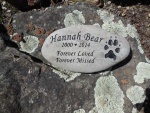 Hannah Bear Hudson.jpg