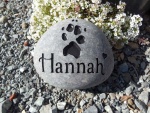 Hannah Morrin, ESRV.jpg
