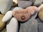 Hannah Schwartz.jpg