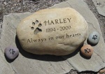 Harley Always....jpg