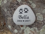 Bella Magnusen, Pet Care East.jpg