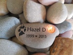 Hazel D Feldman, Forestville VH (1).jpg
