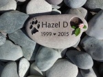 Hazel D Feldman, Forestville VH (1).jpg