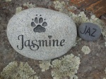 Jasmine Chase, SVH referral 2.jpg