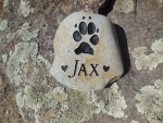 Jax Levesque, VCA Westside Ah.jpg