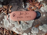 Jo-Jo Talsker.jpg