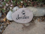 Jordan McAllister.jpg