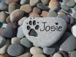 Josie Tartaglini.jpg