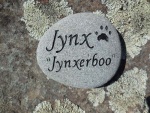 Jynx Horsley, Coddingtown VH.jpg