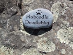 Kaboodle Doodlebug Knight.jpg