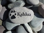 Kahlua Parry front, Northtown AH.jpg