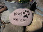 Kodi.jpg