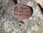 Kona Stiles, Pet Care East.jpg