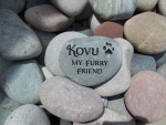 Kovu Casey, AWC.jpg