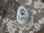 Levi Christman.jpg