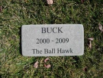 Buck Cort.jpg