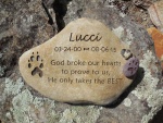 Lucci Hicks, SVH referral (2).jpg