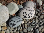 Maddie Battenfeld, Pet Care East.jpg