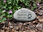 Madison, ordered by Shannon Selli, Silverado Vet.jpg