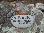 Buddy Tibbetts.jpg