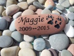 Maggie Hutt.jpg