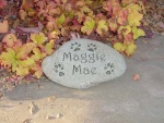 Maggie Mae Samuels.jpg