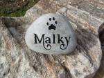 Malky Cote.jpg