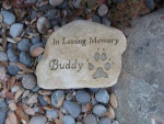 Buddy.jpg