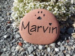 Marvin O'Brien, CAH.jpg