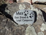 Max Downes.jpg