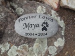 Maya Vaziri.jpg
