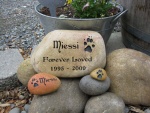 Miessi.jpg