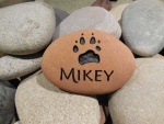 Mikey Dollard, AWC.jpg