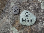 Mini Creedon, Pet Care East employee Christina Creedon.jpg