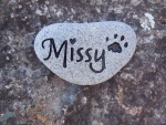 Missy Howe.jpg