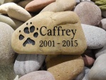 Caffrey Norris, AWC.jpg