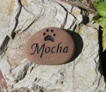 Mocha Harris.jpg