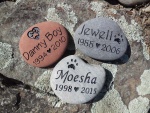 Moesha, Danny Boy, Jewell Dahn, Karen Dahn AH Sebastopol employee.jpg
