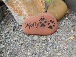 Molly Tessier, Occidental Vet.jpg