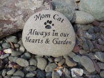 Mom Cat Muscat.jpg