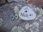 Nick Rockwood, Silverado Vet employee.jpg