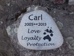 Carl Roberts, SVH referral.jpg