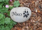 Niko Booth.jpg