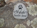 Nylah Casey.Remedios, AWC.jpg