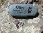 Olive Young, WAH.jpg