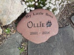 Ollie Hunt.jpg
