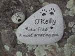 O'Reilly Reeser.jpg
