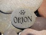 Orion Clemenza.jpg