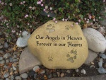 Our Angels in Heaven Ross.jpg