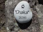 Chaka Weston, SVH referral.jpg